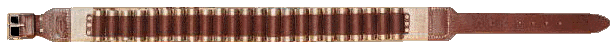 gunbelt