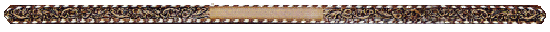 tooled belt