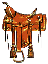 CowPokin' Fun