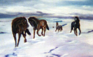 Mustangs