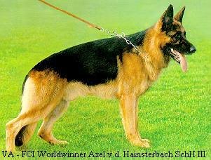 Axel