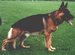 KIMON