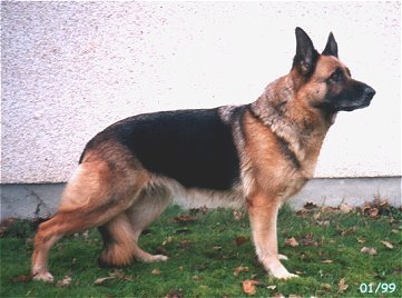 Tonga