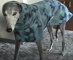 Polar Bear Coat