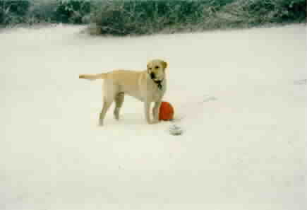 At least as much as I like the snow...