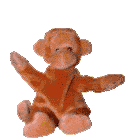bongo.gif (40092 bytes)