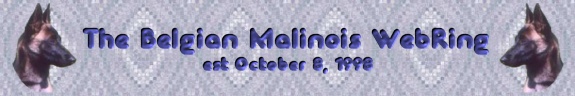 The Belgian Malinois Ring Title Bar