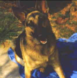 Heidi