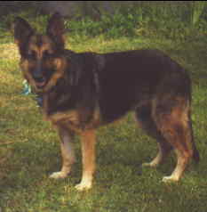 Thelma