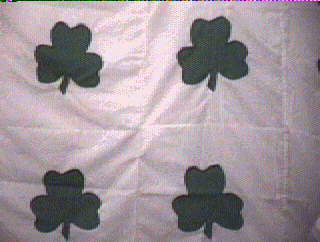 Shamrock