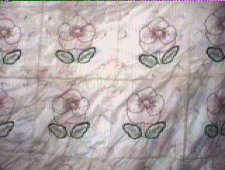 Grandma's Flower Garden