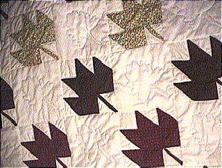 Maple Leaf