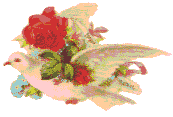rosedove.gif (4879 bytes)