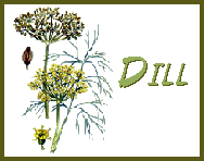 dill