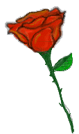 Rose Line