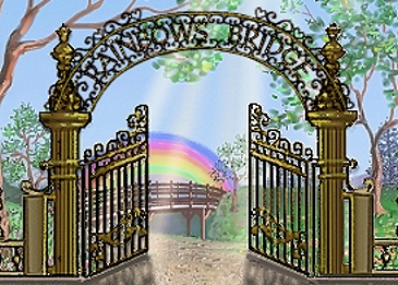 Rainbow Bridge!