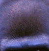 what15.gif (7922 bytes)