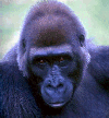 what16.gif (9507 bytes)