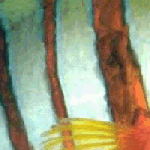 closeup 2