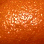 closeup 2