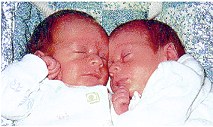 premature twins