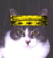 Boo Wearing Crown