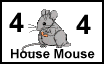 Mouse - House