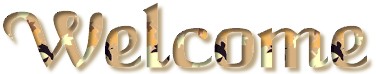 brlfwelc.jpg (10155 bytes)