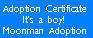 Adopt a Moonman/girl!
