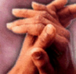 Hands Folded in Prayer.