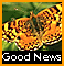 Kid's Quest Logo.