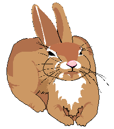 >The Velveteen Rabbit