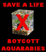 no aqaubaby