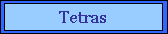 Tetras