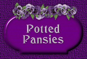 Potted Pansies