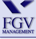 Visite a HP da FGV-Management