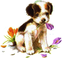 pup.gif (21398 bytes)