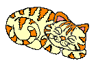tabby1_purr.gif (4267 bytes)