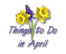 Things to Do in April