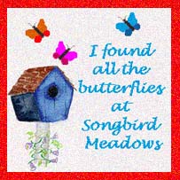 I Found The Butterflies