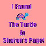 I Found the Turtle at Sharon's Page