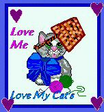 I Love Cats