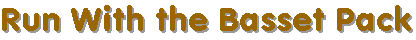 Slide Show Page Logo