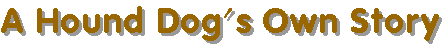 Story Page Logo