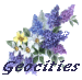 Geocities Link