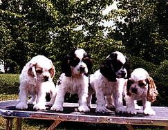 Some of our Cuties!