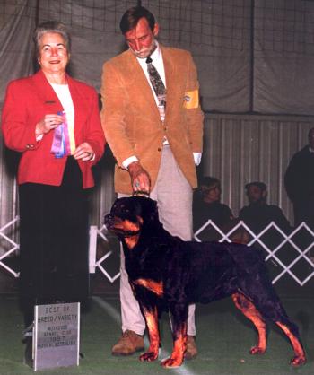 Best of Breed over Specials