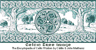 Celtic Tree
