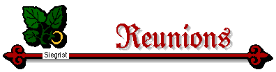Reunion title bar