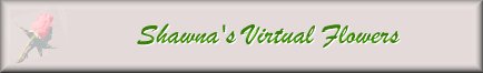 Shawna's Virtual Flowers